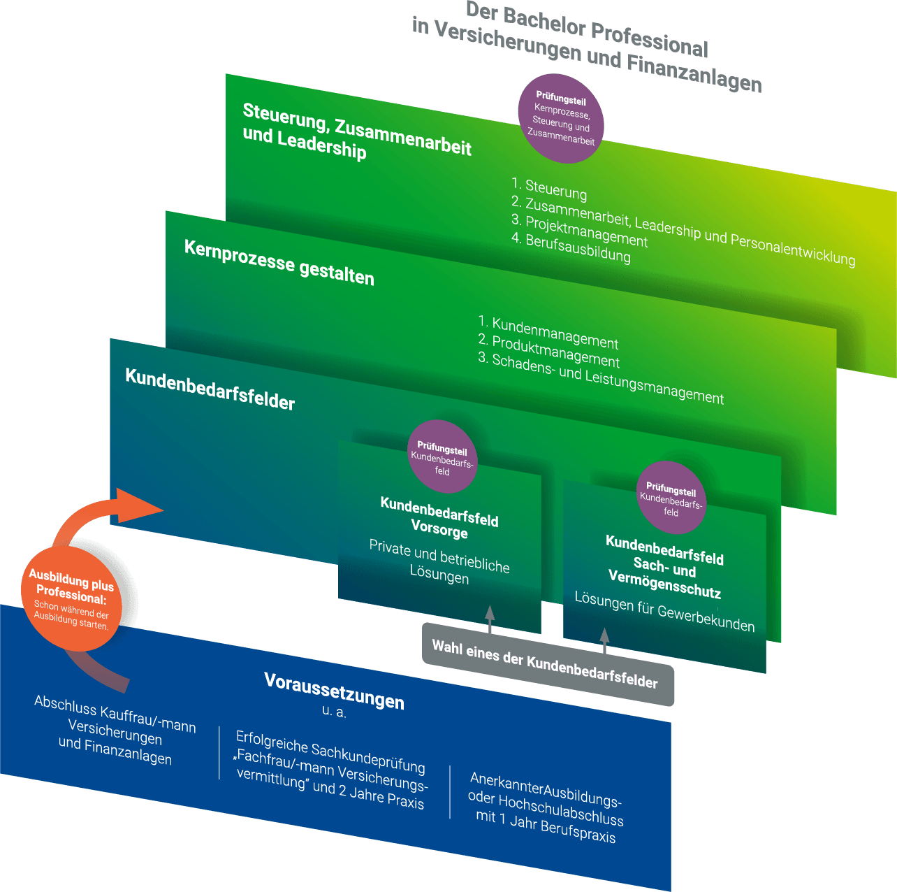 Strukturmodell vom Bachelor Professional in Versicherungen und Finanzanlagen